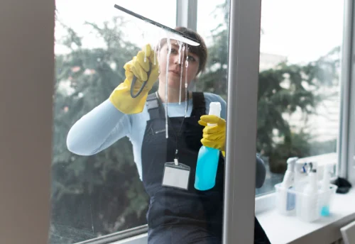 Nettoyage de vitres intérieures et extérieures à Lentigny